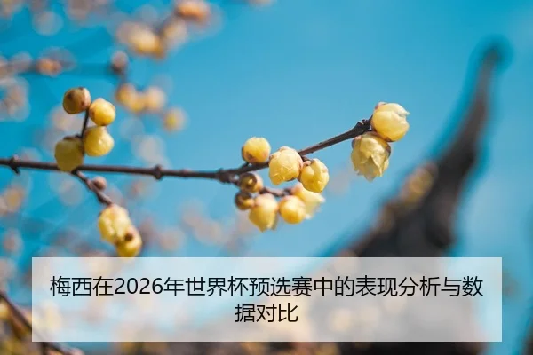 mei-xi-zai-nian-shi-jie-bei-yu-xuan-sai-zhong-de-biao-xian-fen-xi-yu-shu-ju-dui-bi-2-509.jpg