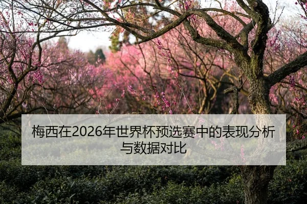 梅西在2026年世界杯预选赛中的表现分析与数据对比