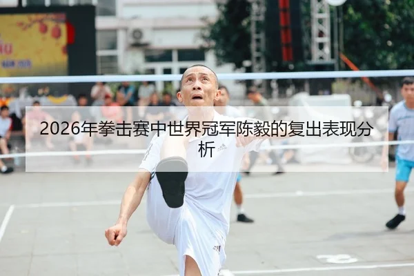 2026年拳击赛中世界冠军陈毅的复出表现分析