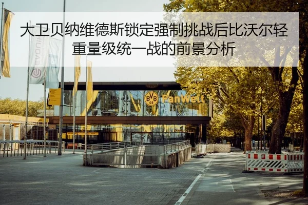 大卫贝纳维德斯锁定强制挑战后比沃尔轻重量级统一战的前景分析