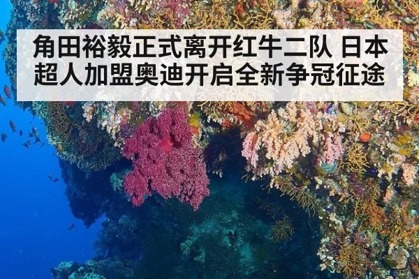 角田裕毅正式离开红牛二队 日本超人加盟奥迪开启全新争冠征途